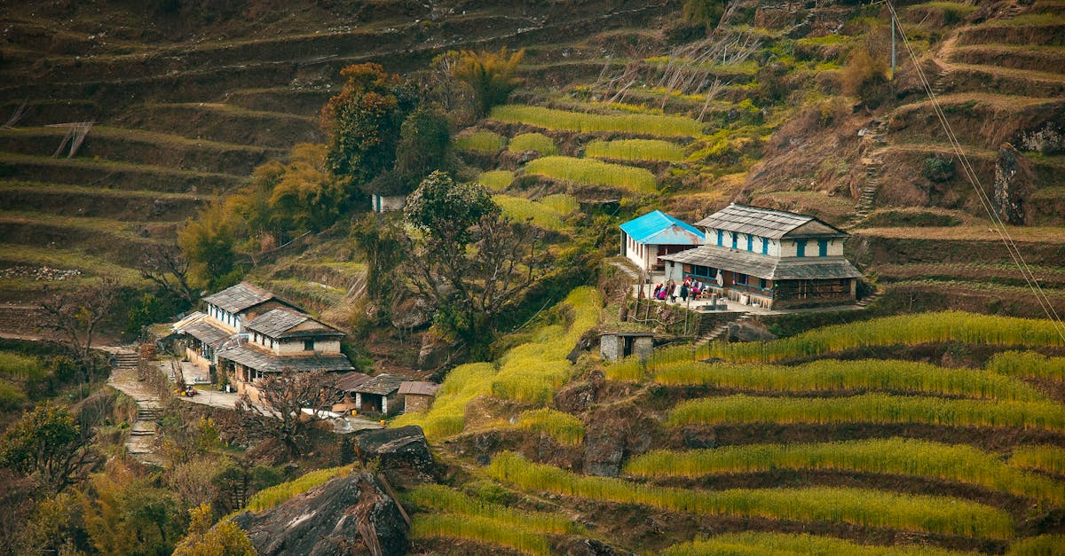 Captivating terraced fields with village houses in the picturesque Annapurna region of Nepal.